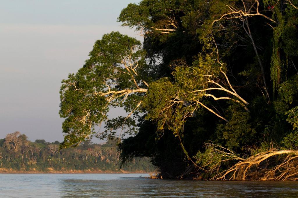 Amazon Planet Hotell Tambopata Eksteriør bilde